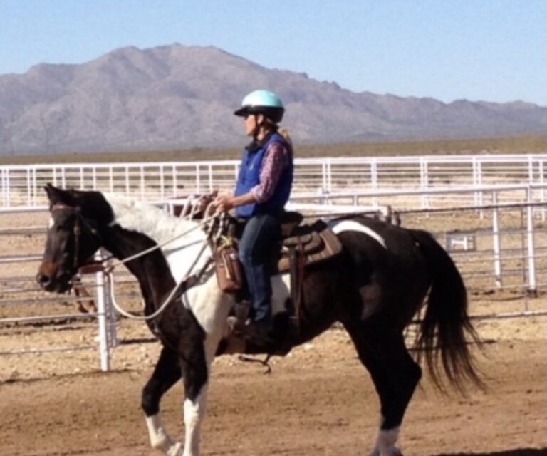 first light, equine therapy, equine assisted therapy