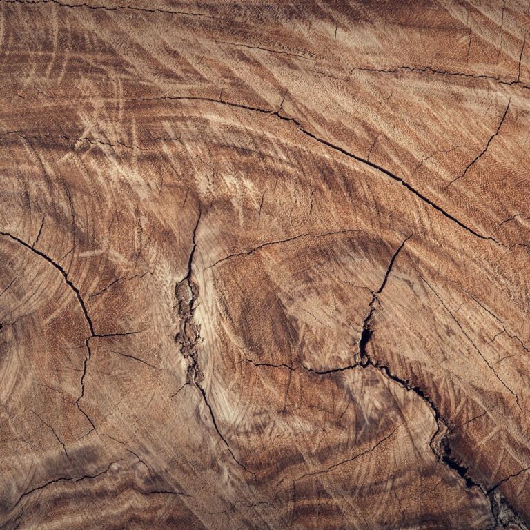 wood grain 3