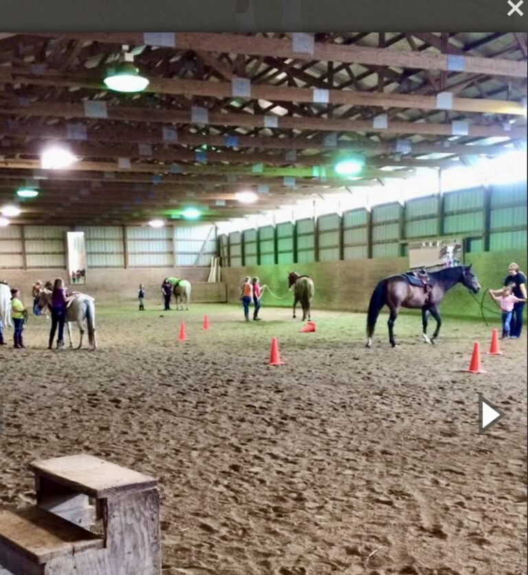 equine mental health therapy, staff cohesion activities, communication skills training