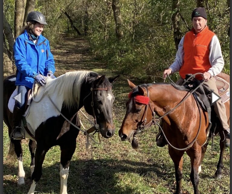 Equine Therapy in Kenosha equine therapy in Kenosha, Kenosha equine therapy services, equine therapy company in Kenosha
