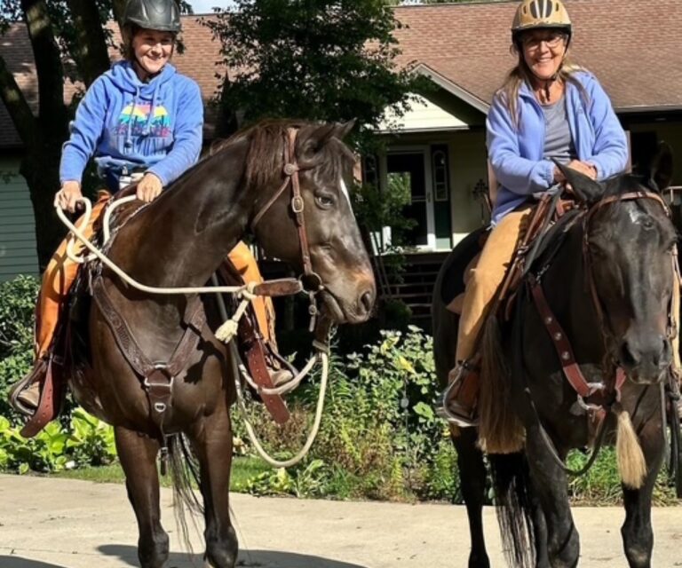 conflict resolution therapy in Kenosha, WI conflict resolution therapy in Kenosha, equine therapy Kenosha, therapy with horses