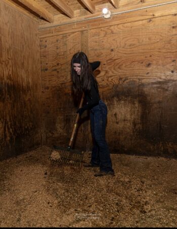 equine therapy retreats, workplace communication training, Kenosha team bonding