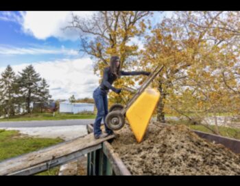 horse-assisted leadership coaching, trauma-informed team therapy, mental health support Wisconsin