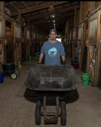 horse-guided conflict mediation, workplace relationship building, equine coaching Wisconsin