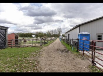 equine crisis de-escalation support, trauma recovery programs, collaborative team exercises