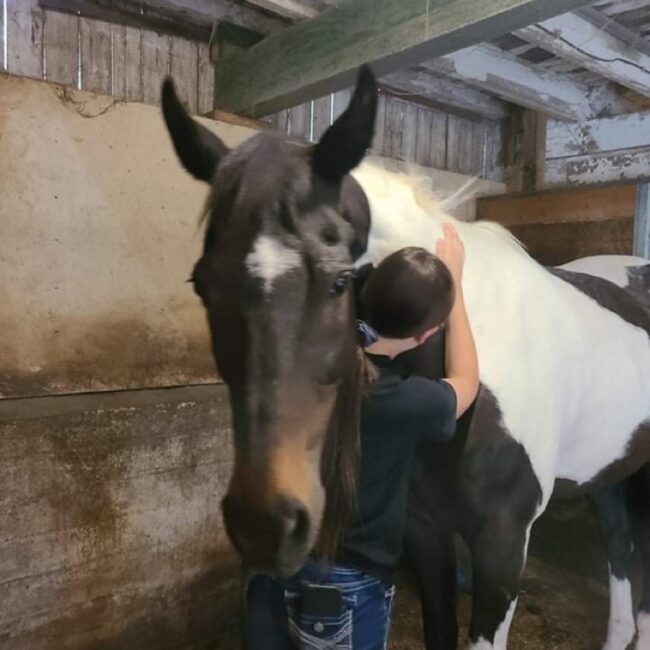 team bonding activities in Kenosha, corporate team building Kenosha, equine-assisted team therapy Wisconsin