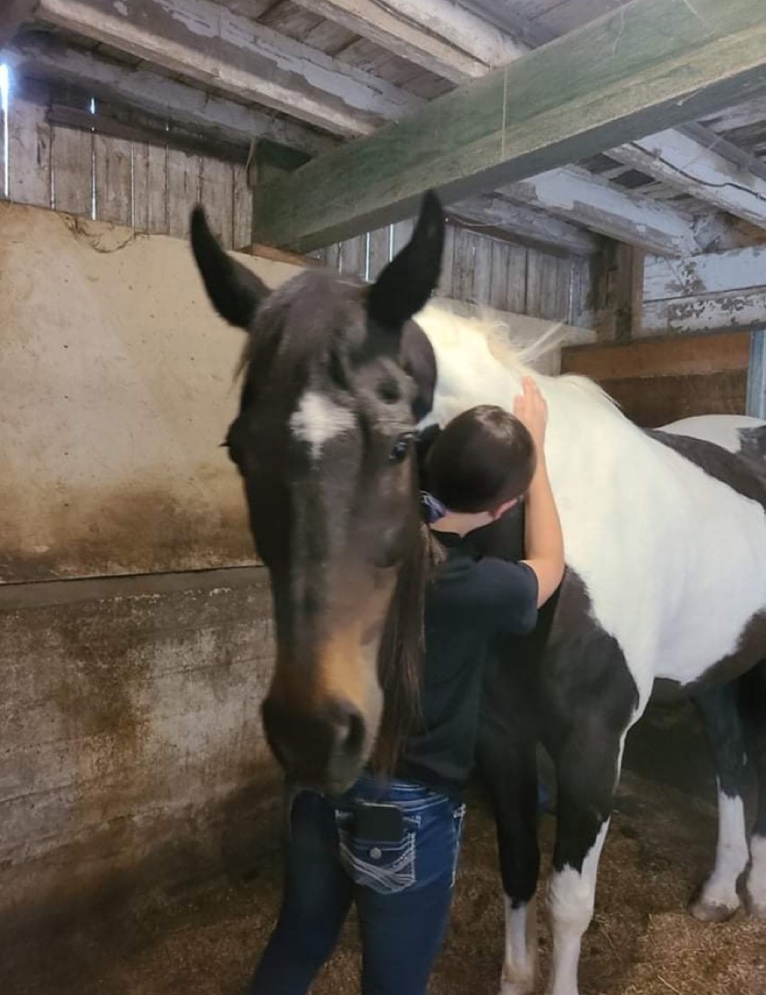 team bonding activities in Kenosha, corporate team building Kenosha, equine-assisted team therapy Wisconsin