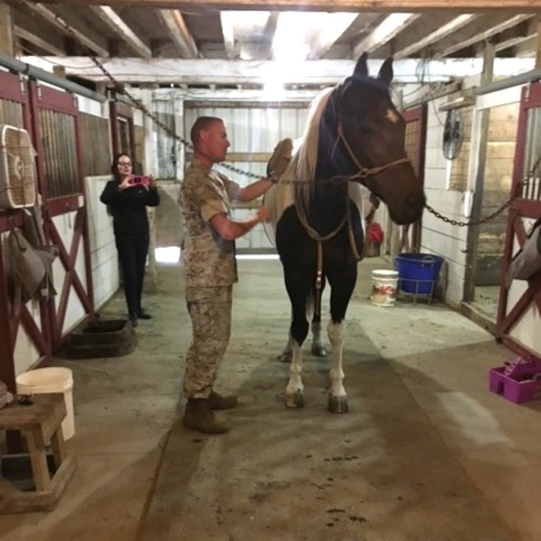 team bonding activities in Kenosha, corporate team building Kenosha, equine-assisted team therapy Wisconsin