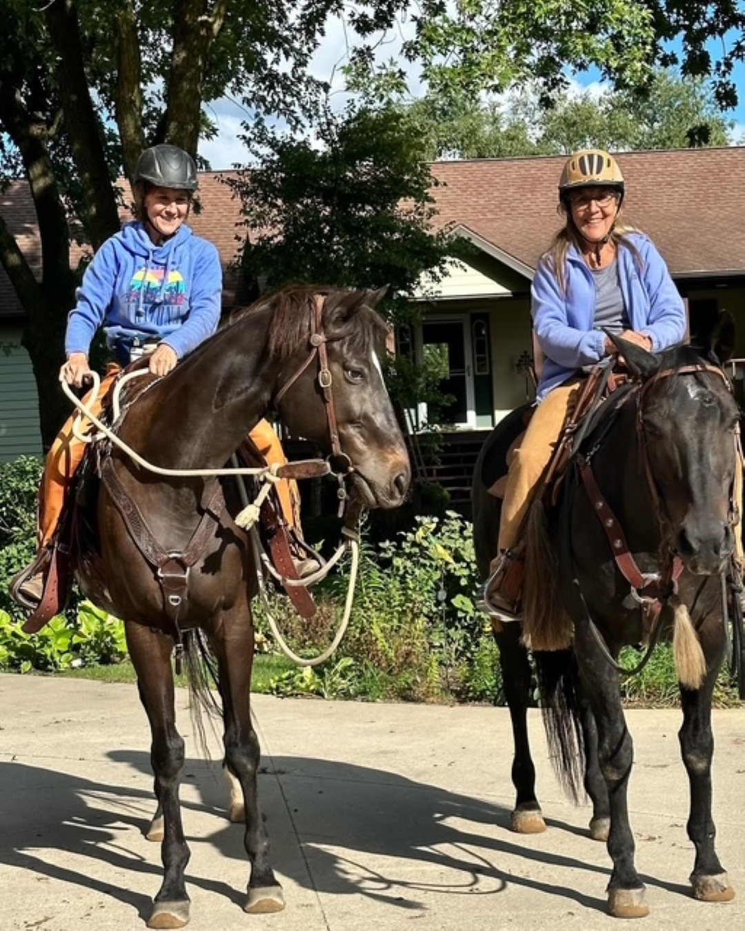 team development activities in Kenosha, corporate team building Kenosha, equine-assisted learning Wisconsin