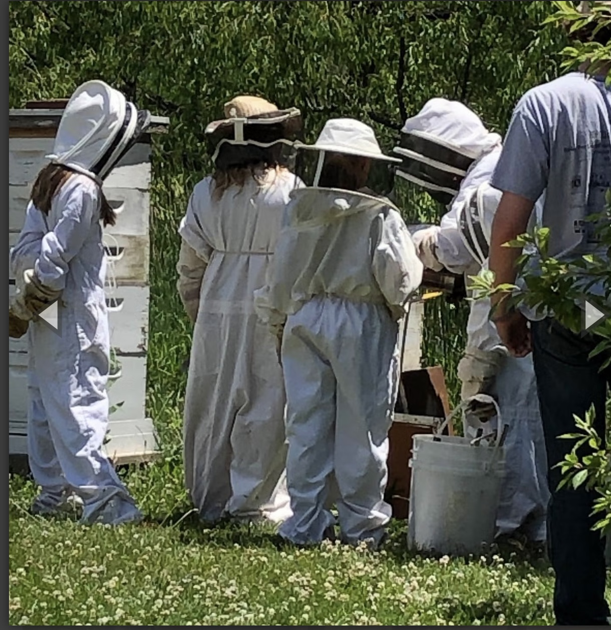 team development activities in Kenosha, corporate team building Kenosha, equine-assisted learning Wisconsin