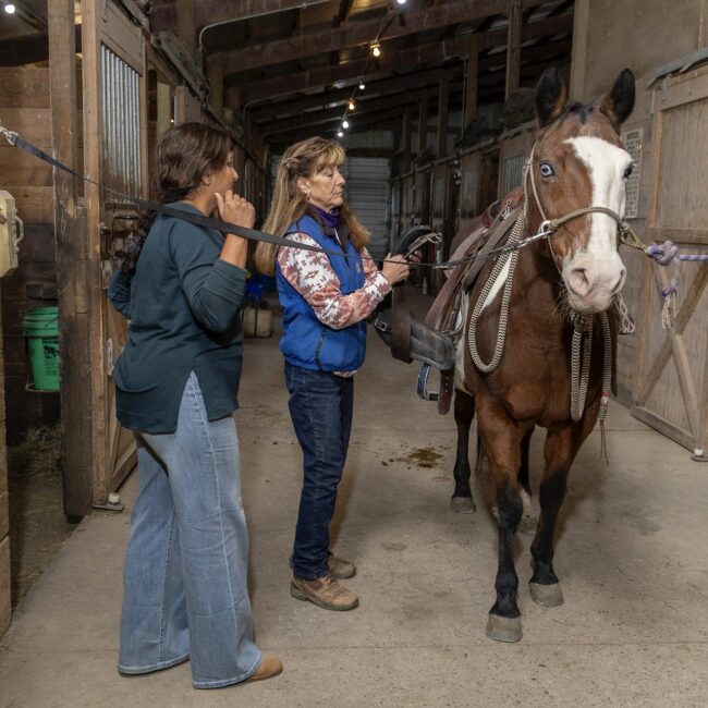 team building activities in Kenosha, equine-assisted learning Kenosha, corporate team development Wisconsin