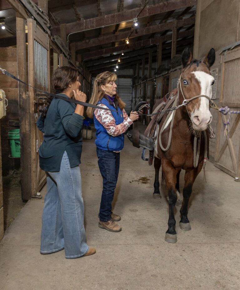 team building activities in Kenosha, equine-assisted learning Kenosha, corporate team development Wisconsin