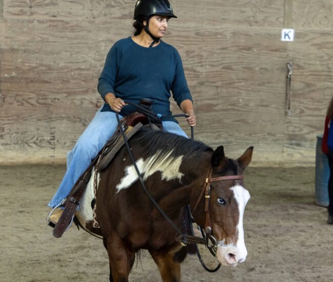 Mental Health Therapy in Kenosha, equine-assisted therapy Wisconsin, healing with horses Kenosha