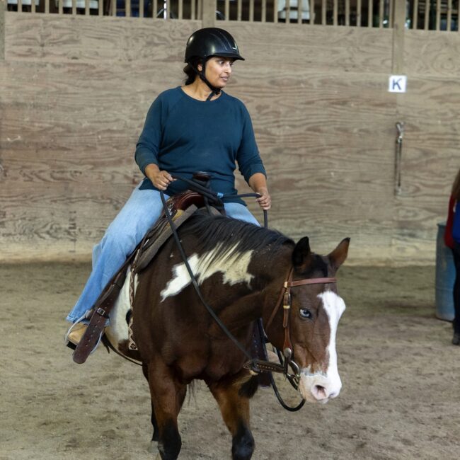 Mental Health Therapy in Kenosha, equine-assisted therapy Wisconsin, healing with horses Kenosha