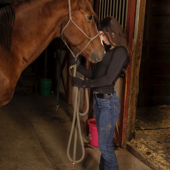 Mental Health Therapy in Kenosha, equine-assisted therapy Wisconsin, healing with horses Kenosha
