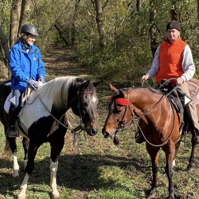 therapy for conflict resolution in Kenosha therapy for conflict resolution in Kenosha, equine therapy Kenosha, therapy with horses Salem Lakes WI