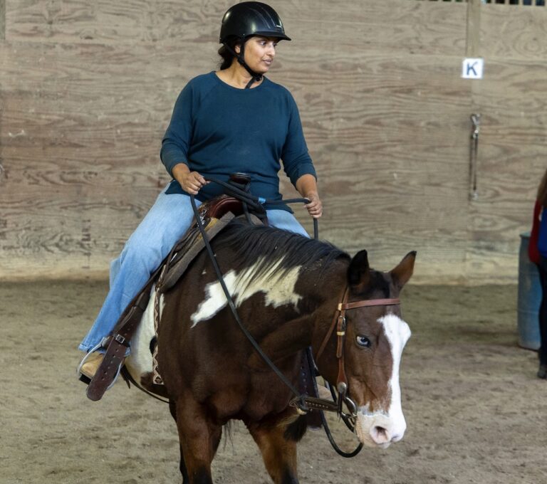 Conflict Resolution in Kenosha, equine-assisted therapy, Salem Lakes WI