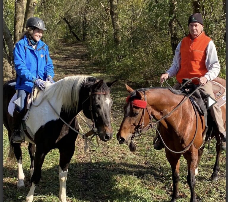 Conflict Resolution in Kenosha, equine-assisted therapy, Salem Lakes WI